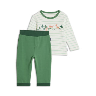 Baby Set Shirt und Hose in grün Set Langarm-Shirt und Hose Jasmico   